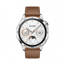 Смарт-часы HUAWEI Watch GT4 PNX-B19 (55020BGX) Brown
