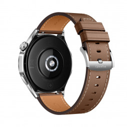 Смарт-часы HUAWEI Watch GT4 PNX-B19 (55020BGX) Brown